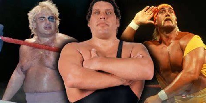 10 Best Matches Of André The Giant's Career, Ranked
