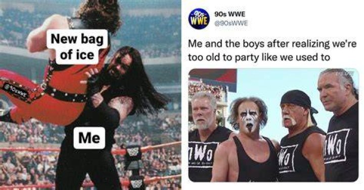 10 Popular Wrestling Memes (& The Origins Behind Them)