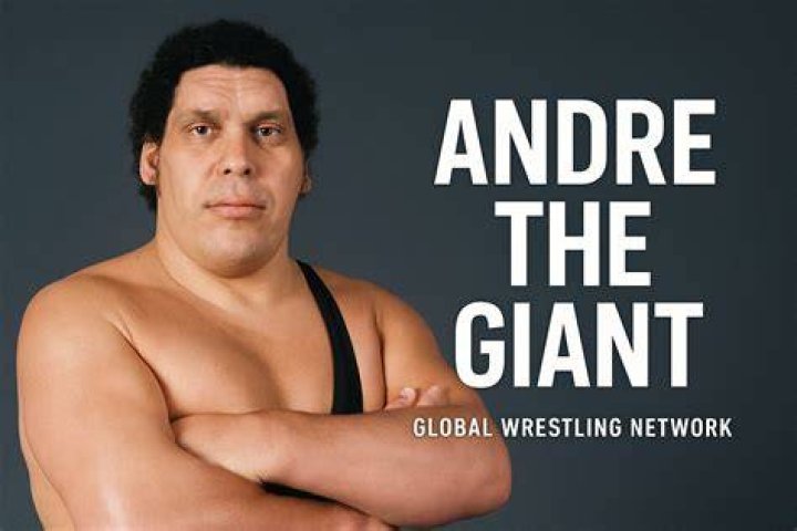 andre the giant with wwe title