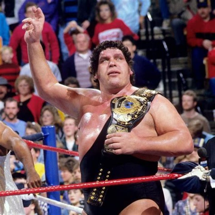 Andre The Giant WWE Champion