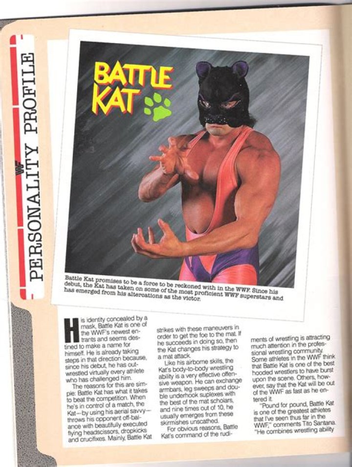 Battle Kat