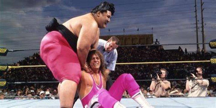 Bret Hart v Yokozuna WrestleMania 9 Cropped