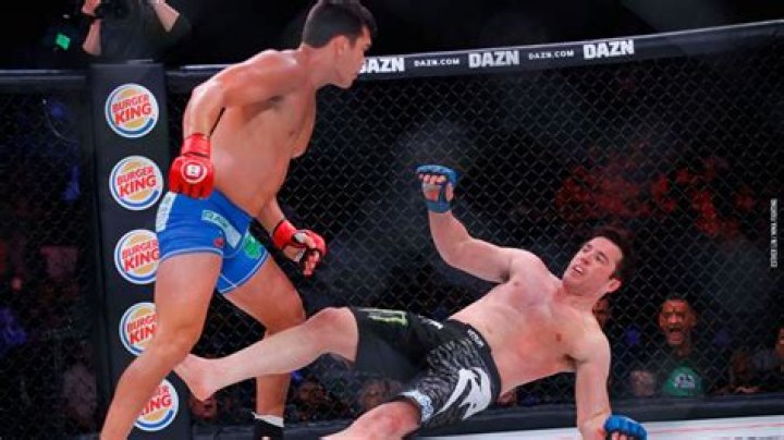 Chael Sonnen Bellator 222