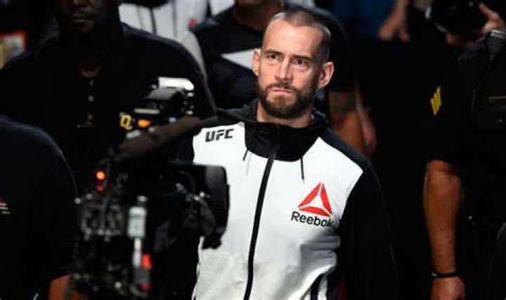 CM Punk UFC 225
