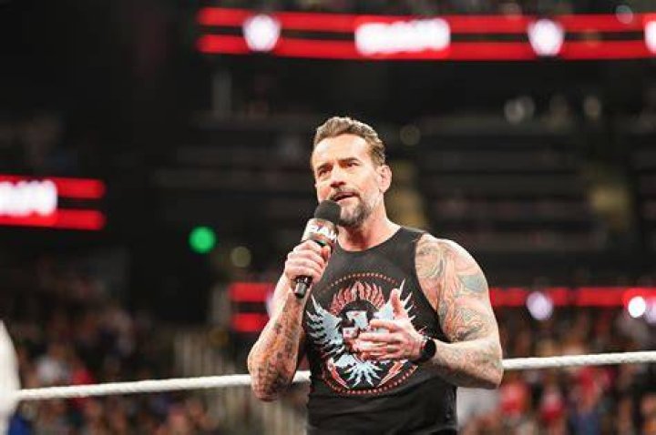 CM Punk WWE