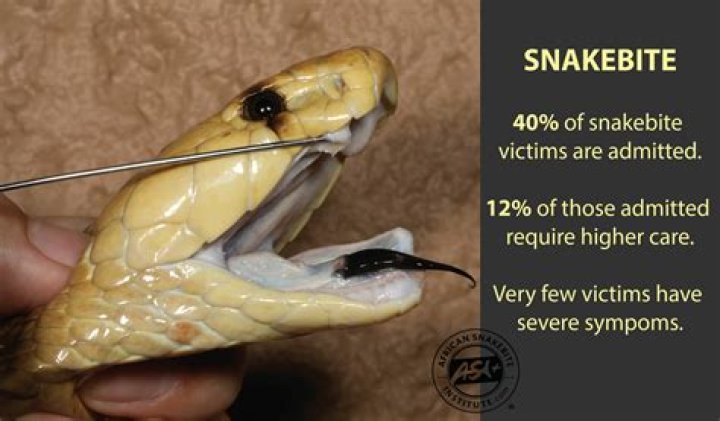 Cobra Bites Savage