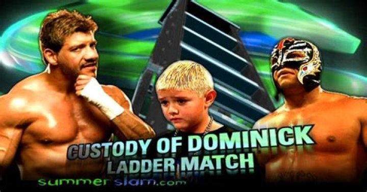Custody of Dominick Ladder Match