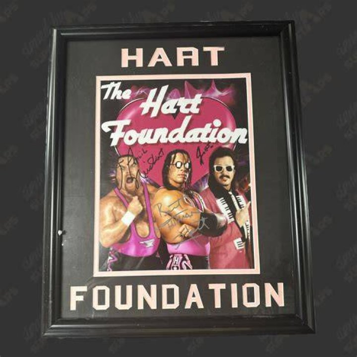 Demolition v Hart Foundation 1990