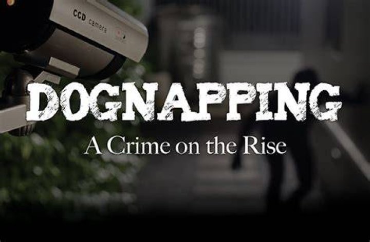 Dognapping