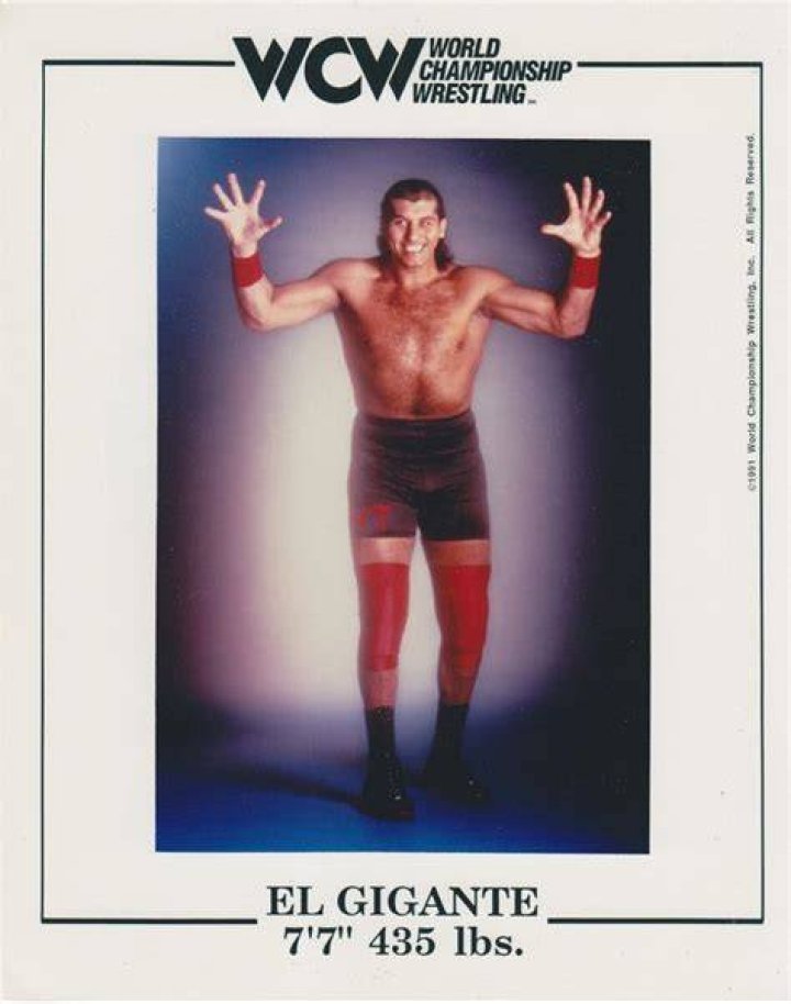 El Gigante WCW