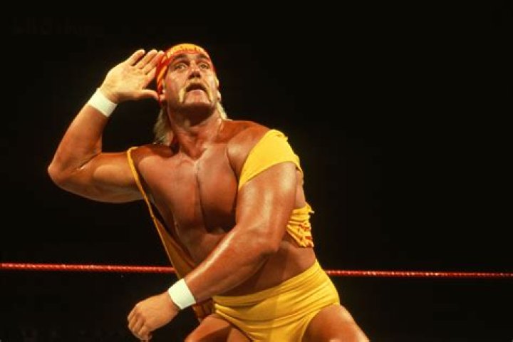 Hulk Hogan's WrestleMania Matches, Definitively Ranked Worst To Best