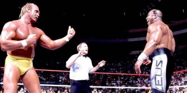 Hulk Hogan & Brutus Beefcake v Money Inc WrestleMania 9 Cropped