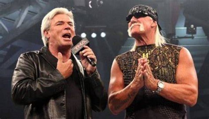Hulk Hogan Eric Bischoff TNA
