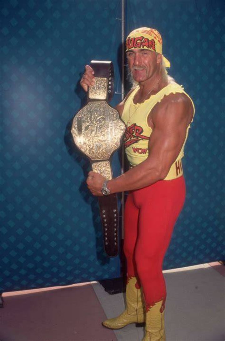 Hulk Hogan Holds His Head 