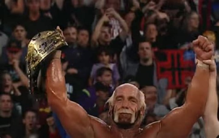 Hulk Hogan Undisputed Champion