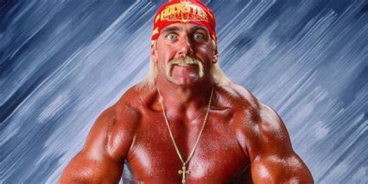 Hulk Hogan WWE Champion 3rd Reign 1991