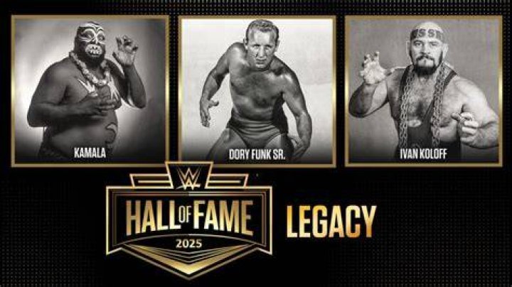 Ken Shamrock To Be Added To The 2024 WWE Hall Of Fame Class