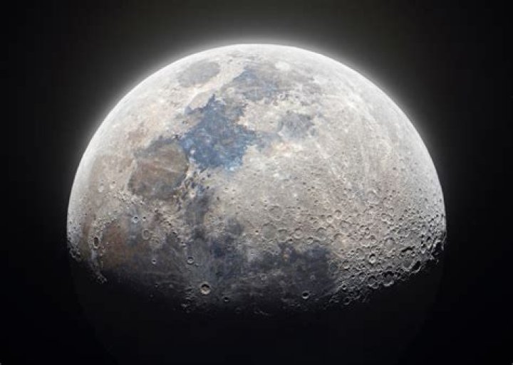 Max Moon Cropped