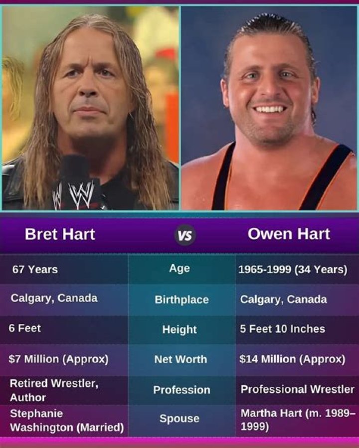 Owen Hart v Bret Hart SummerSlam 1994
