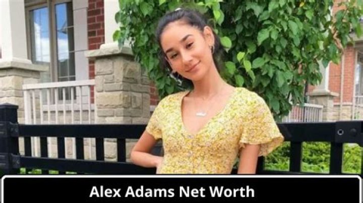 Peggy Scott-Adams Net Worth, Age, Height, Weight, Family, Wiki 2024