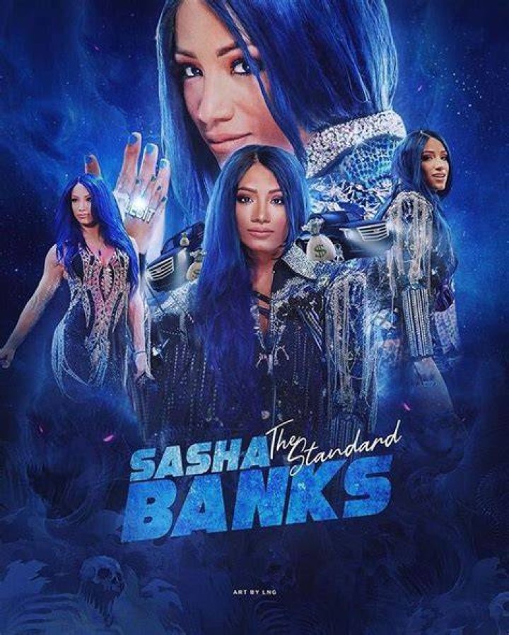 Sasha Banks in NXT