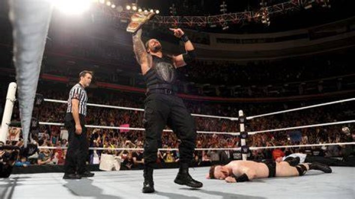 Shane McMahon Throwing A Punch