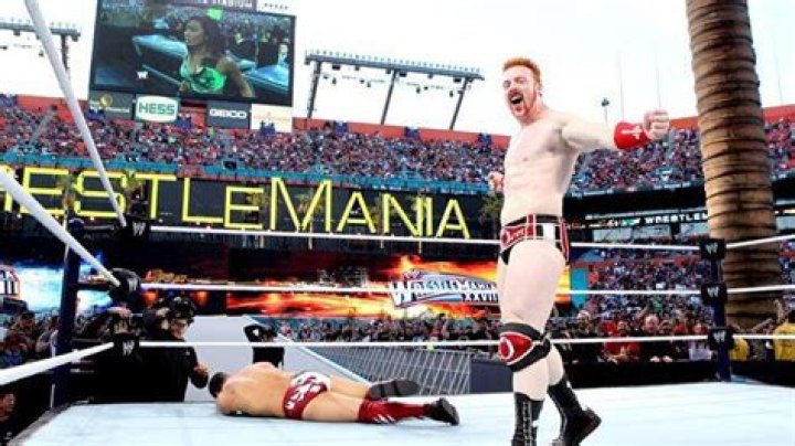 Sheamus Vs. Daniel Bryan WrestleMania 28