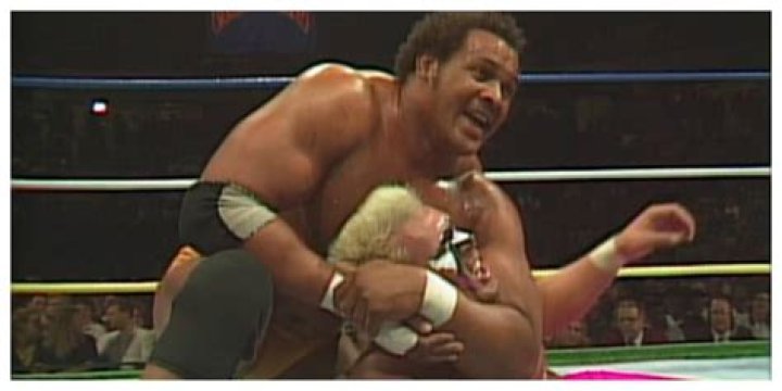 Sting vs Butch Reed