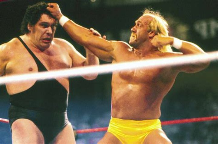 The Iron Sheik's Open Letter To Hulk Hogan And Gawker
