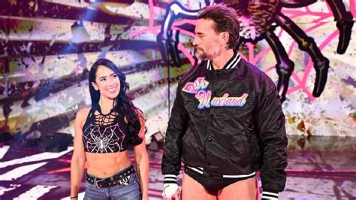 Top 15 Things You Didn't Know About CM Punk And AJ Lee's Relationship