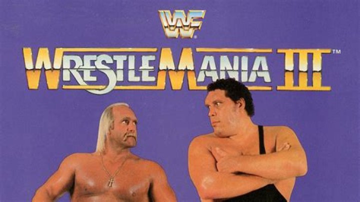 WrestleMania 3 Hulk Hogan Vs. Andre The Giant 